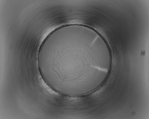 X0000111780941200908131345
