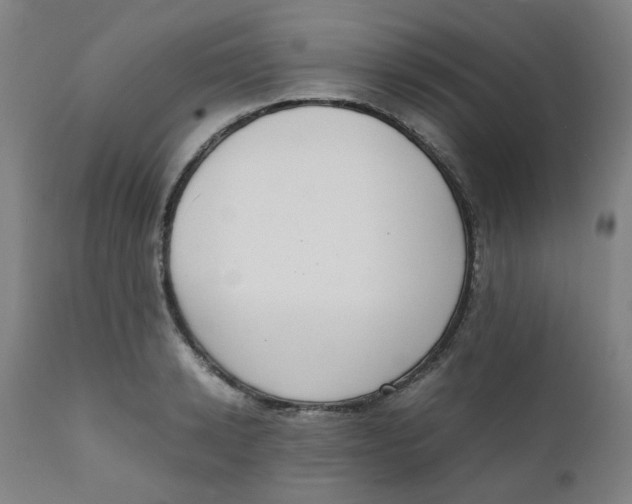 X0000111780942200908131345