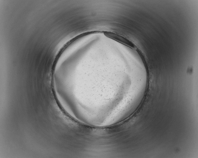 X0000111780944200908131345