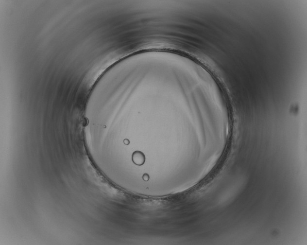 X0000111780945200908131345