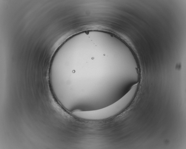 X0000111780946200908131345