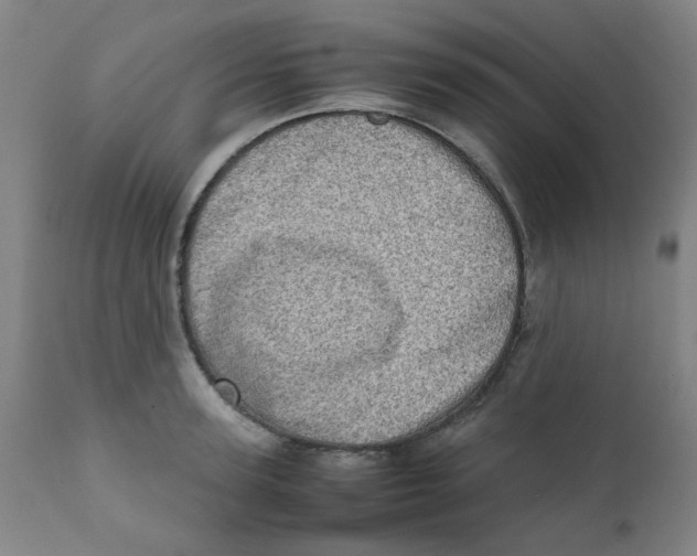 X0000111780947200908131345