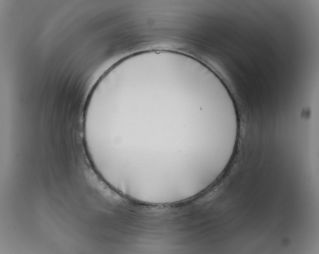 X0000111780948200908131345