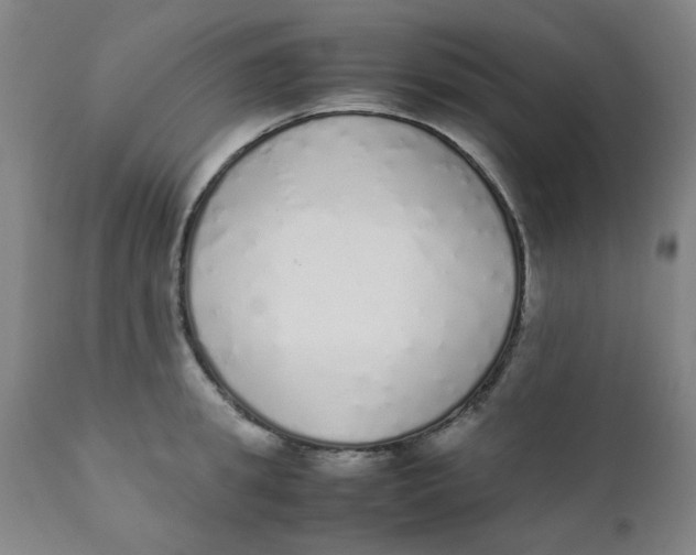 X0000111780949200908131345