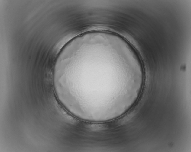 X0000111780953200908131345