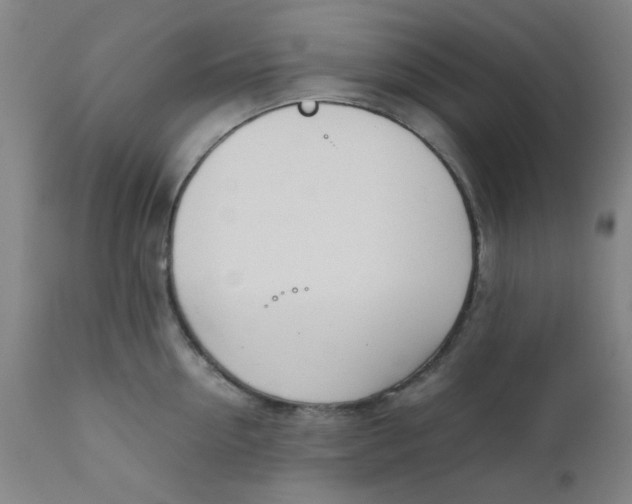 X0000111780954200908131345