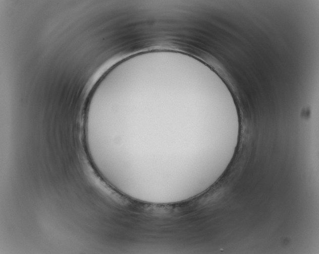 X0000111780955200908131345