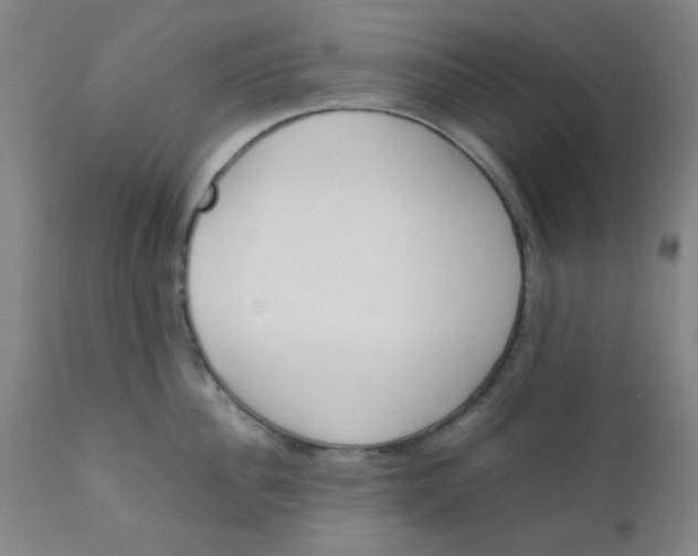 X0000111780956200908131345