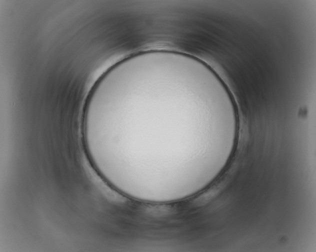 X0000111780957200908131345