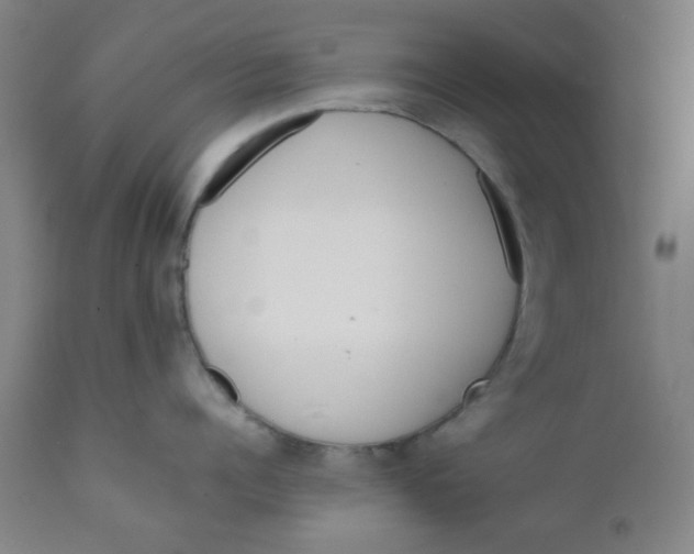 X0000111780960200908131345