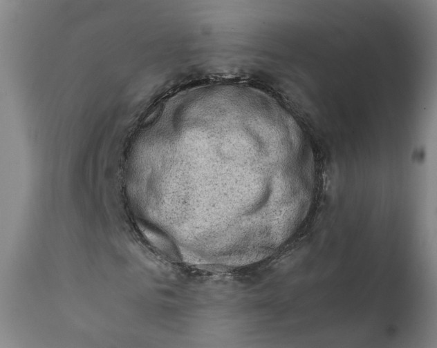X0000111780961200908131344