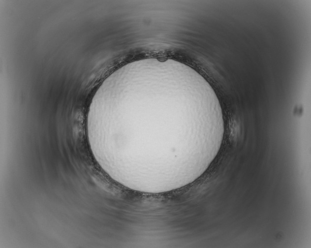 X0000111780964200908131344