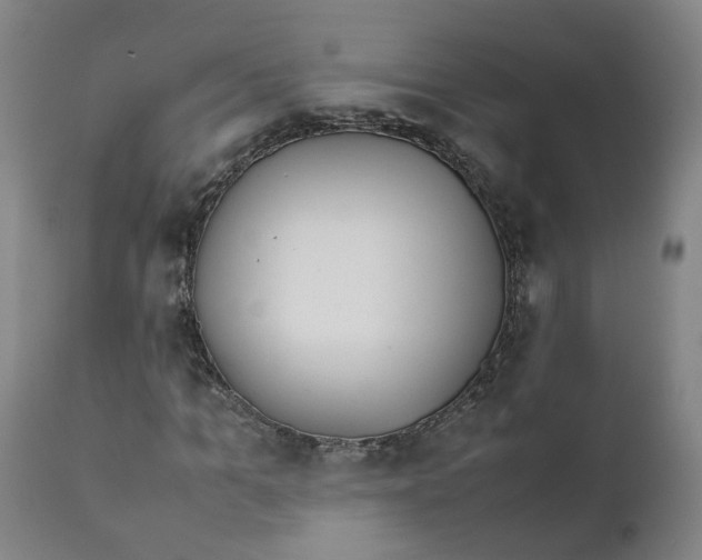 X0000111780965200908131344