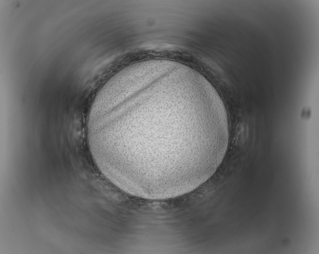 X0000111780966200908131344