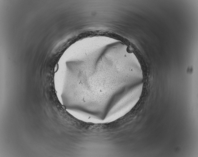 X0000111780967200908131344