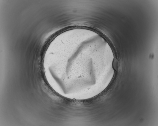 X0000111780971200908131344