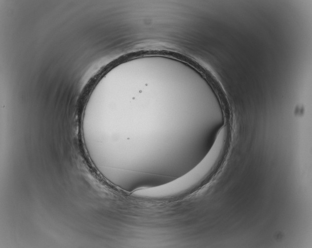 X0000111780973200908131344