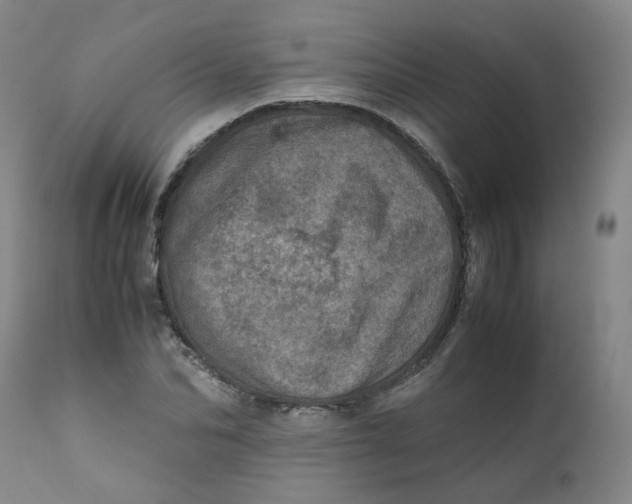 X0000111780974200908131344