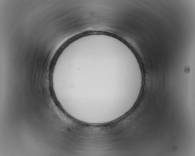 X0000111780976200908131344