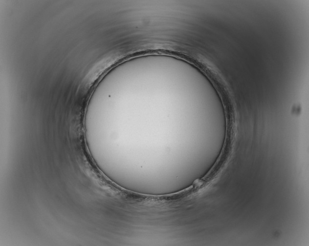 X0000111780977200908131344