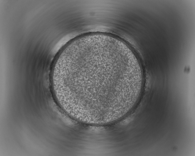 X0000111780978200908131344