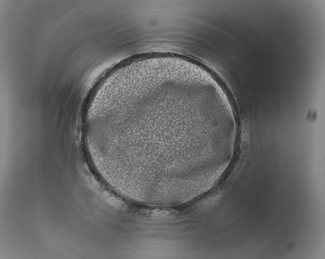 X0000111780979200908131344