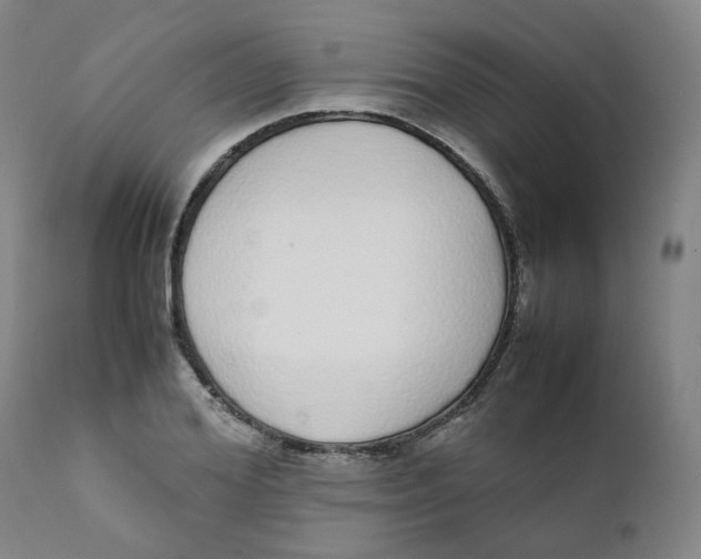 X0000111780980200908131344