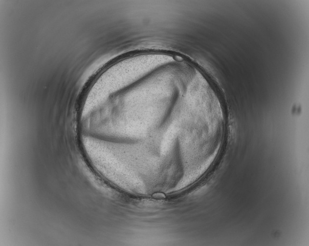 X0000111780981200908131344