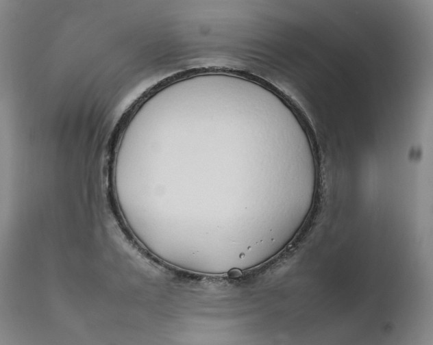 X0000111780983200908131344