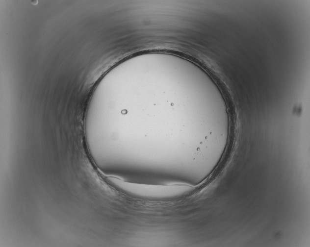 X0000111780985200908131344