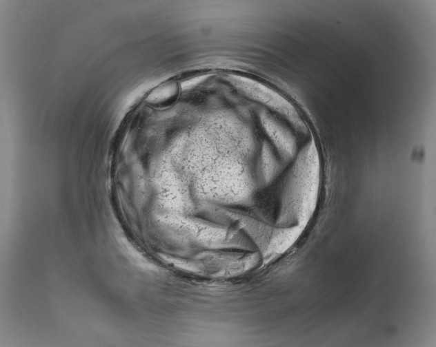X0000111780987200908131344
