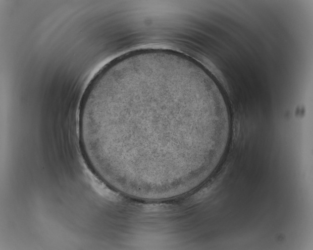 X0000111780988200908131344
