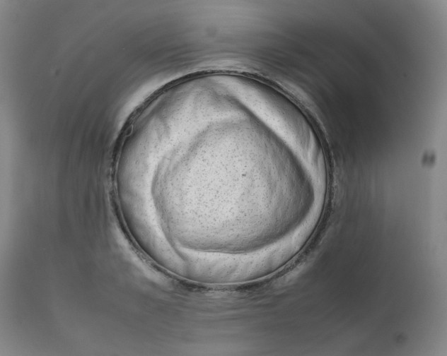 X0000111780989200908131344
