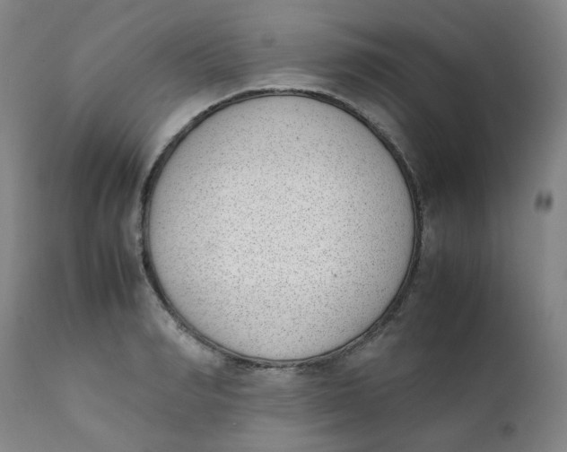 X0000111780990200908131344