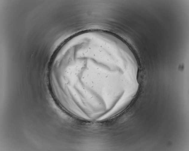 X0000111780991200908131344