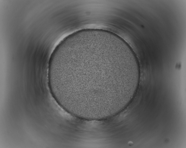 X0000111780992200908131344