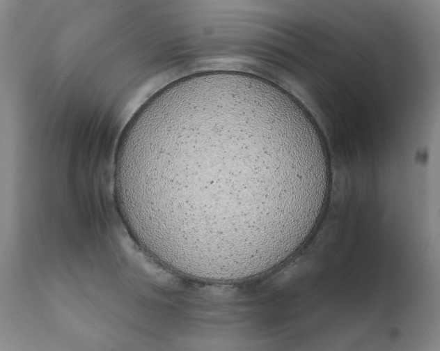 X0000111780994200908131344