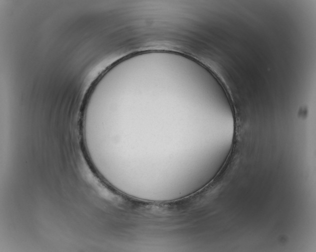 X0000111780995200908131344