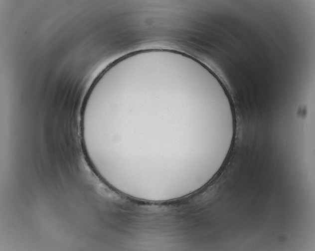 X0000111780996200908131344