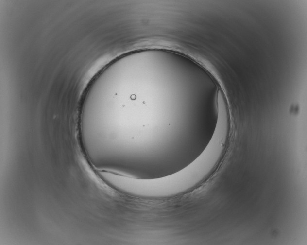 X0000111780997200908131344