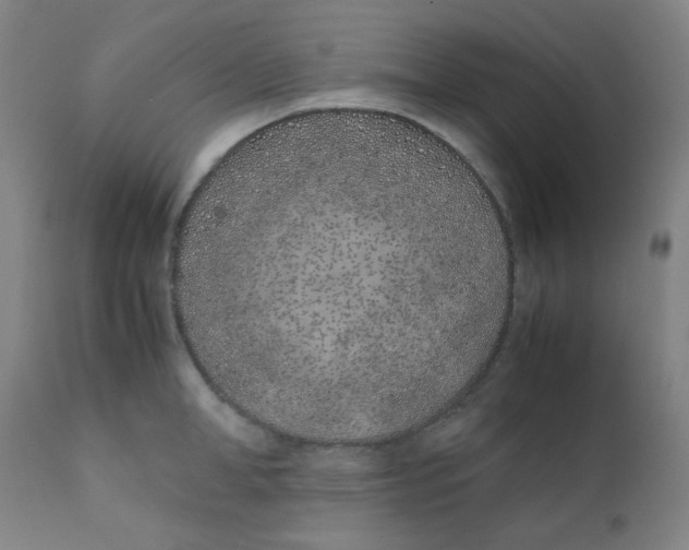 X0000111780998200908131344