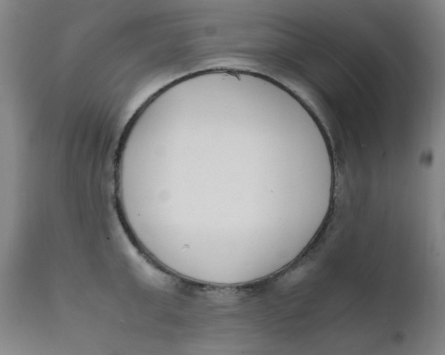 X0000111780999200908131344