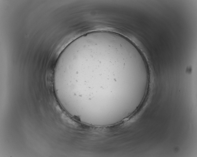 X0000111781001200908131344