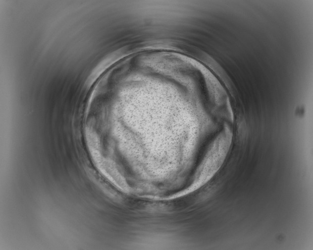 X0000111781002200908131344