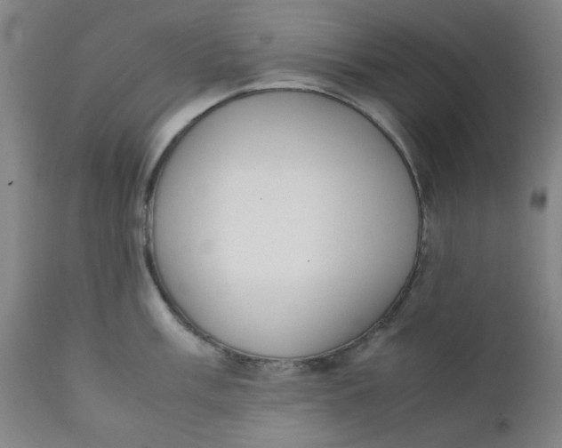 X0000111781003200908131344