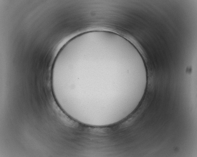 X0000111781004200908131343