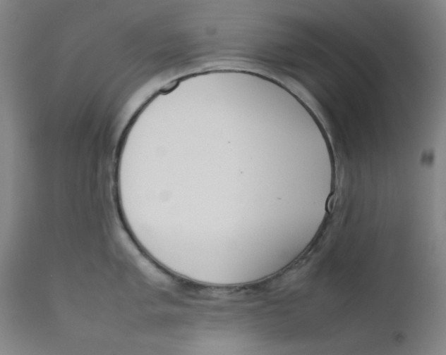 X0000111781005200908131343