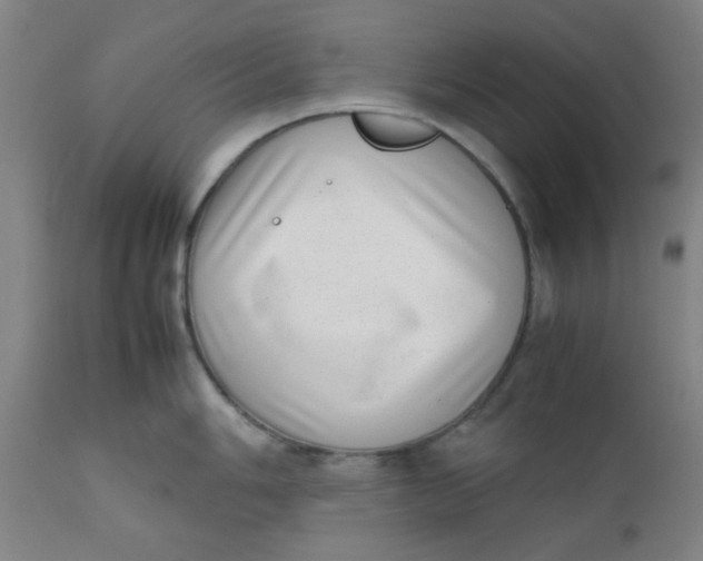 X0000111781006200908131343