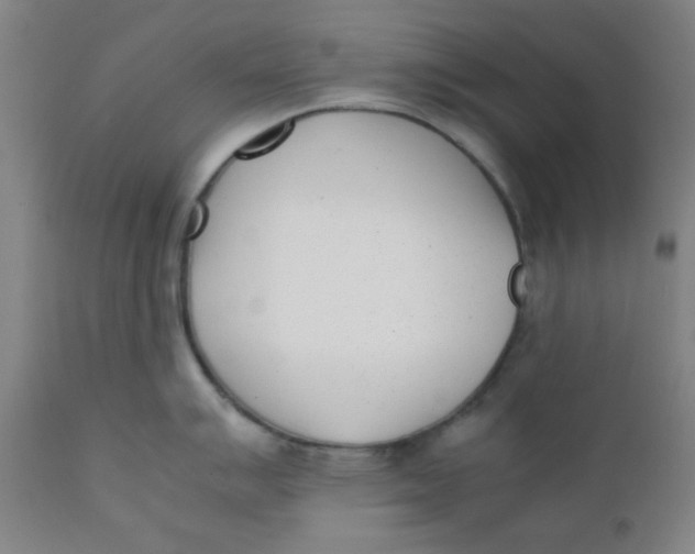 X0000111781007200908131343
