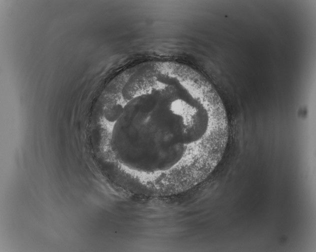 X0000111781009200908131343